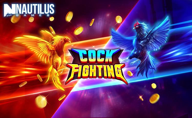 Unleash the Roosters! Step Into the Arena in Cockfighting, the Ultimate Clash of Feathers and Fury